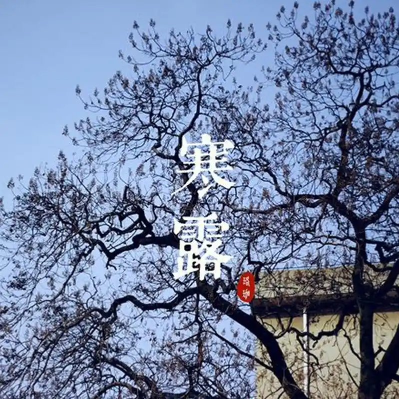寒露