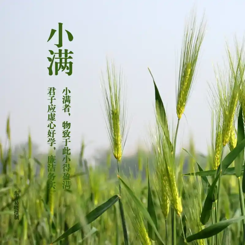 小满