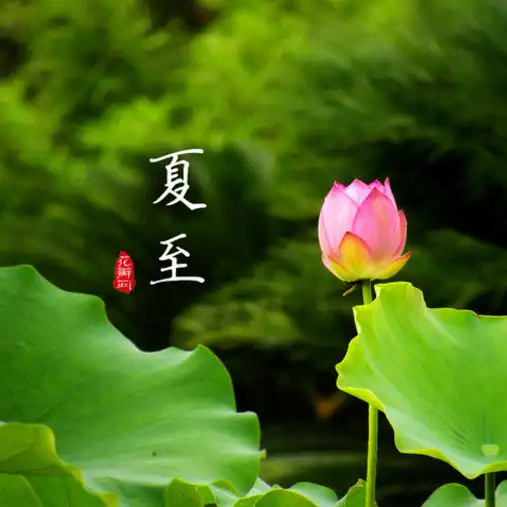夏至