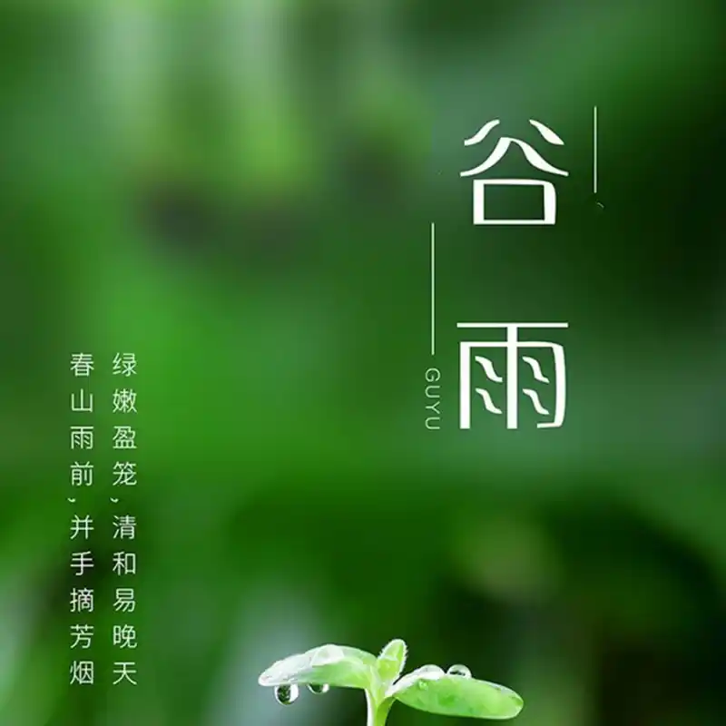 谷雨
